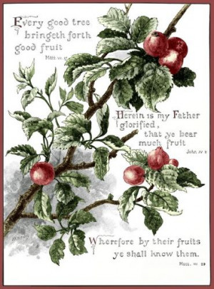 quotes biblical quotes biblical quotes biblical quotes biblical quotes ...