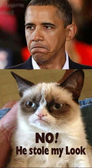 Funny Grumpy Cat. President Obama stole my look.