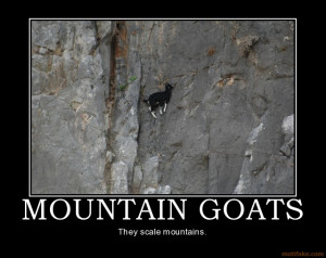 mountain-goats-mountain-goats-mountains-animals-funny-demotivational ...
