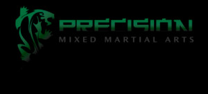 Precision Mixed Martial Arts