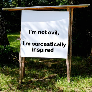 ... -Quality Poster 44x44in «I'm not evil, I'm sarcastically inspired