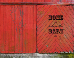 Old Red Barn Photo - Rustic Fine Ar t Wall Decor - Weathered Barn ...