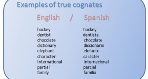 True cognates – Cognados en inglés