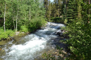 Laurance Rockefeller Preserve Photo Lake Creek along the trail