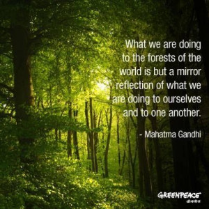 Something to think about seriously! #Forests #Quotes
