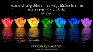 Extraordinary things are always hiding in places people never think to ...