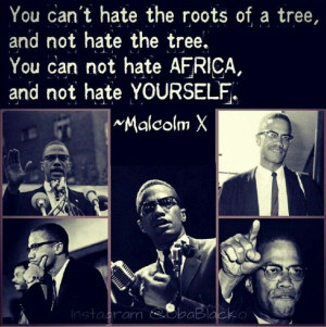 Malcolm X. Evolution from advocate of civil rights to becoming an ...