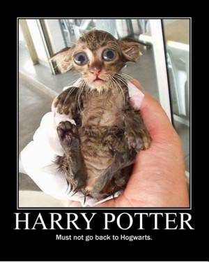 cute, dolbie, fun, funny, harry, harry potter, hogwarts, lol, potter