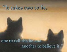Warrior Cat Quote. Anyone else love this series as a kid? More