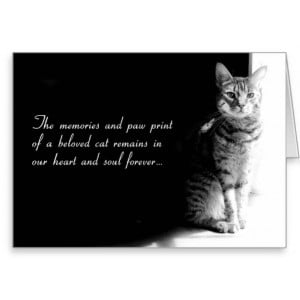 sympathy_card_for_the_loss_of_a_beloved_pet_cat ...