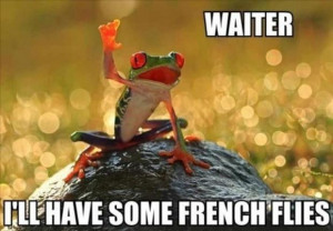 funny animals, bacon wrapped media (13)