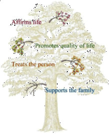 Hospice Henry County About