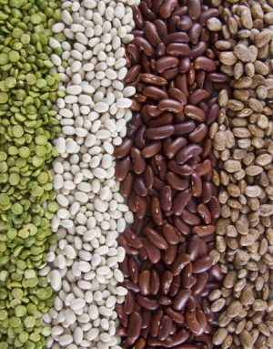 Fighting Foods: Cancer Fight Food, Black Beans, Cancerfight Food, Food ...