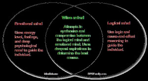 Practice In Mindfulness and Wise Mind