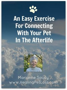 An Easy Exercise For Connecting With A Pet In The Afterlife http ...