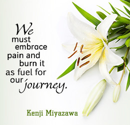 sympathy quotes words of sympathy