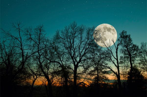 com/moon-games-moon-photos/Moonstruck Art, Fuhrman Photography, Lunar ...