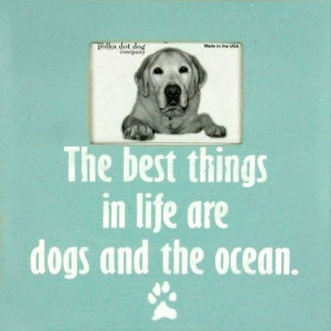 ... quotes http www pinterest com complcoastal beach quotes ocean quotes