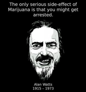 The only serious side-effect of marijuana is that you might get ...