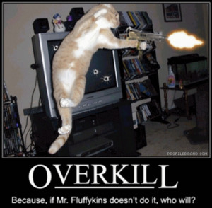 Funny Cat Pics With Sayings And Guns Funny cats with guns and
