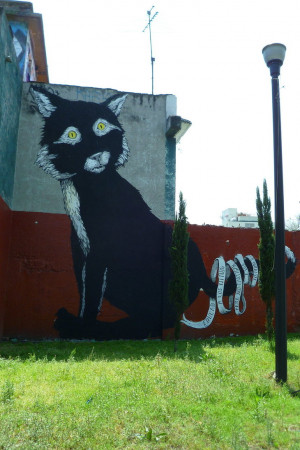 Samo Graffiti Graffiti cat by samo19