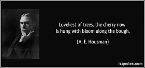 ... , the cherry now Is hung with bloom along the bough. - A. E. Housman