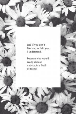 because who would really choose a daisy, in a field of roses?