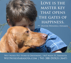 Dog Love - Dog Quotes