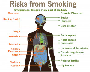 Effects of Smoking Cigarettes or Cigars Are Too Many to List