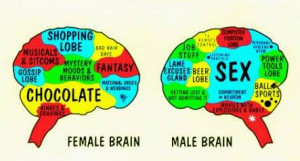 neuromorphogenesis:Male brain versus female brain: How do they differ ...