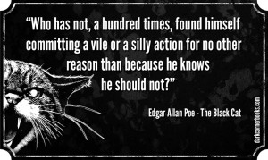 Black Cat Quotes Picture