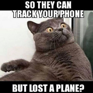 MH370 Please Come Back! Top 11 Touching Photos, Prayers, Posts and ...