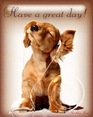... cute--music--Misc--my-favorites--Sammy--dogs--dog--weekend--quotes