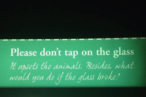 Add new comment: Cancel reply