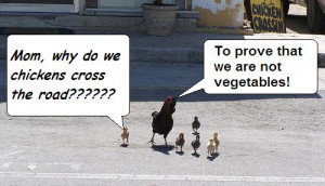 Funny Joke Life Quotes - Famous Why Did the Chicken Cross The Road?