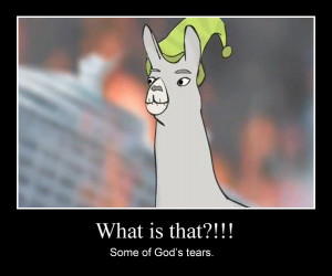 Llamas With Hats Quotes