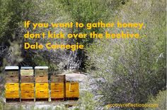 work quotes groovy quotes beehive quotes