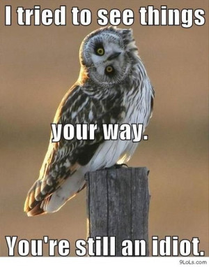 You’re an idiot! - Funny Pictures, Funny Quotes, Funny Videos ...