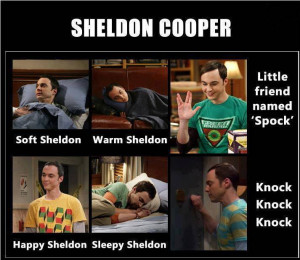 The Big Bang Theory soft Sheldon