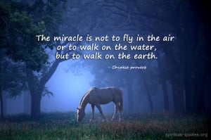 The real miracle - Chinese proverb