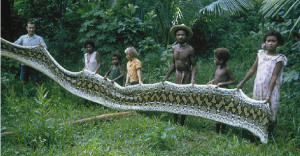 ... tribe where a quarter of men have been attacked by giant snakes