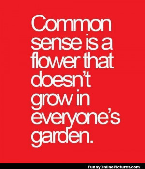 Common-Sense Quotes