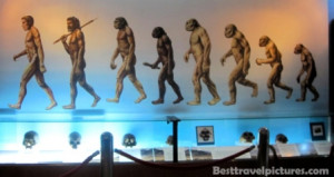Sangiran Early Man Site - Evolution from Ramapithecus to Homo Sapiens