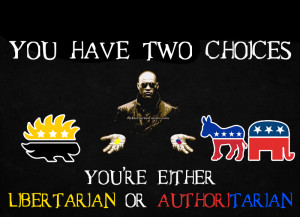 you're either libertarian or authoritarian copy