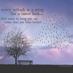 Every setback is a setup for a come back... Quotes | Dreaming of ...