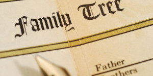 FAMILY-TREE-facebook.jpg