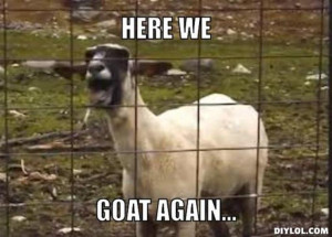 Resized_screaming-goat-meme-generator-here-we-goat-again-e611e6