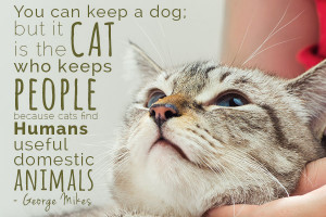 Cat Lover Quotes