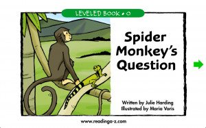 spider monkey food chain
