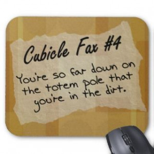 shirts, Mugs, & Flair Workplace & Office Humor Facts About Cubicle